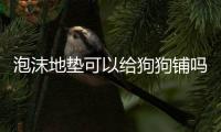 泡沫地墊可以給狗狗鋪嗎