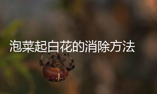 泡菜起白花的消除方法 泡菜為什么會起白花