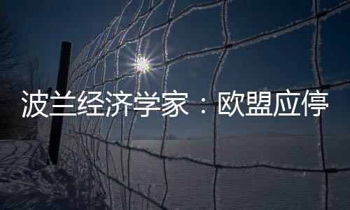 波蘭經(jīng)濟(jì)學(xué)家：歐盟應(yīng)停止貿(mào)易戰(zhàn)，呼吁協(xié)商共贏