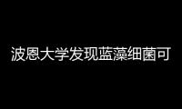 波恩大學發現藍藻細菌可產油 或用于發動機