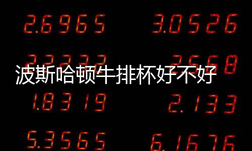 波斯哈頓牛排杯好不好 值得關注