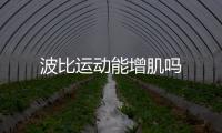 波比運(yùn)動(dòng)能增肌嗎