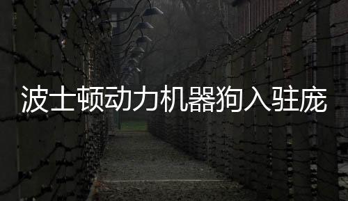 波士頓動力機器狗入駐龐貝古城 還要鉆盜洞打擊違法犯罪