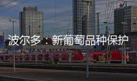波爾多：新葡萄品種保護未來發(fā)展