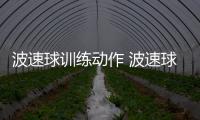 波速球訓練動作 波速球怎么練腹部