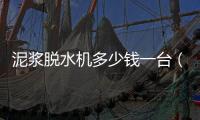 泥漿脫水機多少錢一臺（泥漿脫水機原理及用途）