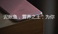 泥鰍魚，營養(yǎng)之王，為你帶來健康與活力