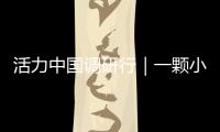 活力中國調研行｜一顆小青梅帶來百億大產業