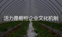 活力是櫥柜企業文化機制建設的主題