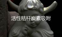 活性秸桿炭素吸附