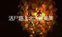 活尸路上北大路美美