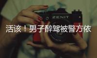 活該！男子醉駕被警方依法處理