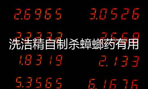 洗潔精自制殺蟑螂藥有用嗎（洗潔精自制殺蟑螂藥）