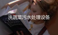 洗蔬菜污水處理設備