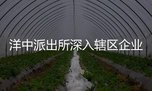 洋中派出所深入轄區企業開展“5.15”經偵宣傳活動