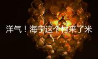 洋氣！海寧這個村來了米其林大廚！打造了個美食體驗中心！