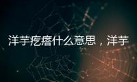 洋芋疙瘩什么意思，洋芋疙瘩的做法