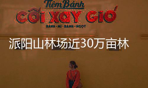 派陽山林場近30萬畝林地通過國際FSC森林認(rèn)證審核\緬甸花梨價格逐漸穩(wěn)定
