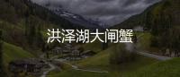 洪澤湖大閘蟹