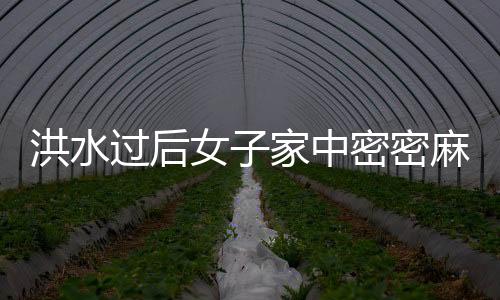 洪水過后女子家中密密麻麻全是魚，家人拿簸箕鏟魚