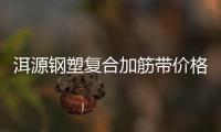 洱源鋼塑復合加筋帶價格