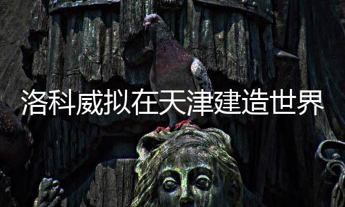 洛科威擬在天津建造世界級巖棉基地