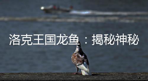 洛克王國龍魚：揭秘神秘水世界的古老傳說