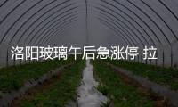 洛陽玻璃午后急漲停 拉動玻璃板塊走強,行業(yè)資訊