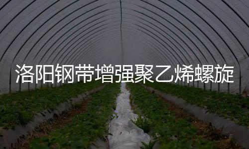 洛陽鋼帶增強聚乙烯螺旋波紋管規(guī)格等級品種齊全