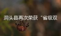 洞頭縣再次榮獲“省級雙擁模范縣”榮譽稱號
