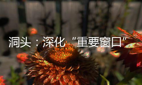洞頭：深化“重要窗口”建設(shè)  打響“海霞”培訓(xùn)品牌