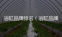 浴缸品牌排名（浴缸品牌）