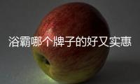 浴霸哪個牌子的好又實惠（浴霸哪個牌子的好）