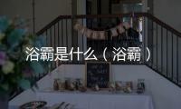 浴霸是什么（浴霸）