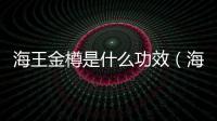 海王金樽是什么功效（海王金樽功效）