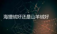 海貍絨好還是山羊絨好 不倒絨和海貍絨哪個好