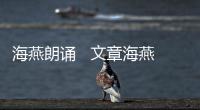 海燕朗誦   文章海燕的讀法
