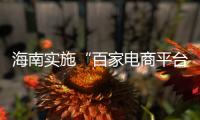 海南實(shí)施“百家電商平臺點(diǎn)亮”行動(dòng) 打造放心網(wǎng)絡(luò)消費(fèi)環(huán)境
