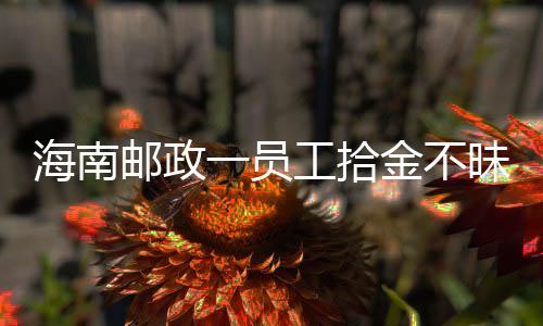 海南郵政一員工拾金不昧獲錦旗