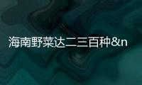 海南野菜達(dá)二三百種 成現(xiàn)代人餐桌新寵