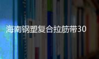 海南鋼塑復合拉筋帶30020B性能