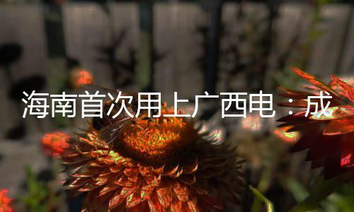 海南首次用上廣西電：成交電量5040萬千瓦時