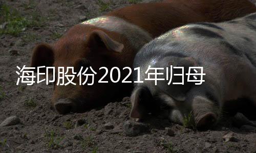 海印股份2021年歸母凈虧損6.23億 同比下降2054.98%