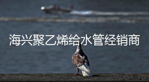 海興聚乙烯給水管經銷商