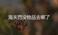 海關罰沒物品去哪了