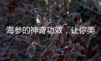 海參的神奇功效，讓你美麗動人