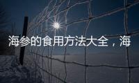 海參的食用方法大全，海參的食用方法