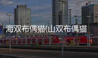 海雙布偶貓(山雙布偶貓)