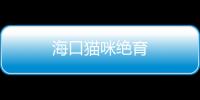 海口貓咪絕育