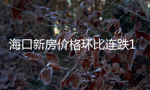 海口新房價(jià)格環(huán)比連跌14個月后“回正”,二手房市場量價(jià)分化